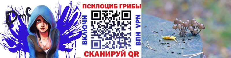 Псилоцибиновые грибы ЛСД  Купить где  Талдом