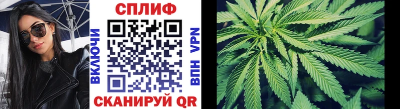 Купить где  Талдом  Конопля Ganja 